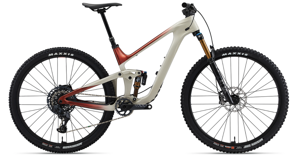 Giant Trance 29 Basalt Bike and Ski